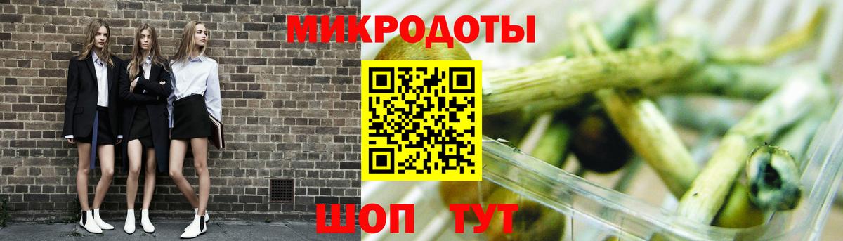 Псилоцибиновые грибы Psilocybine cubensis  Вход с VPN  Липецк 